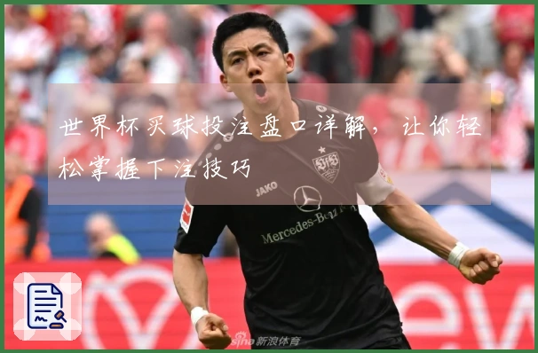 世界杯买球投注盘口详解，让你轻松掌握下注技巧