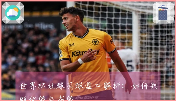 世界杯让球买球盘口解析：如何判断优势与劣势