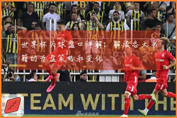 世界杯买球盘口详解：解读各大书籍的开盘策略和变化
