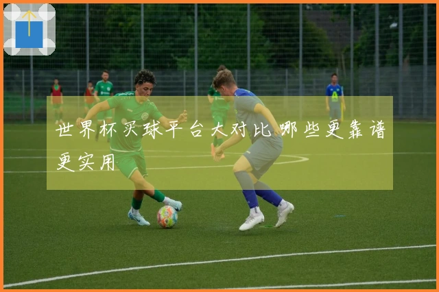 世界杯买球平台大对比 哪些更靠谱更实用