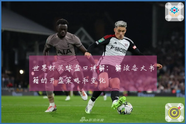世界杯买球盘口详解：解读各大书籍的开盘策略和变化